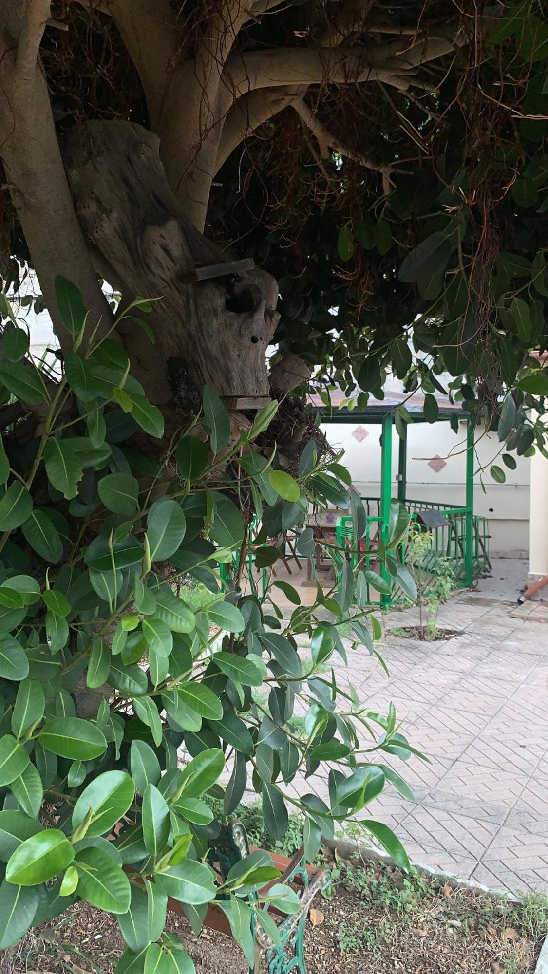 B&B Civitavecchia La Casetta Con Giardino Exterior photo
