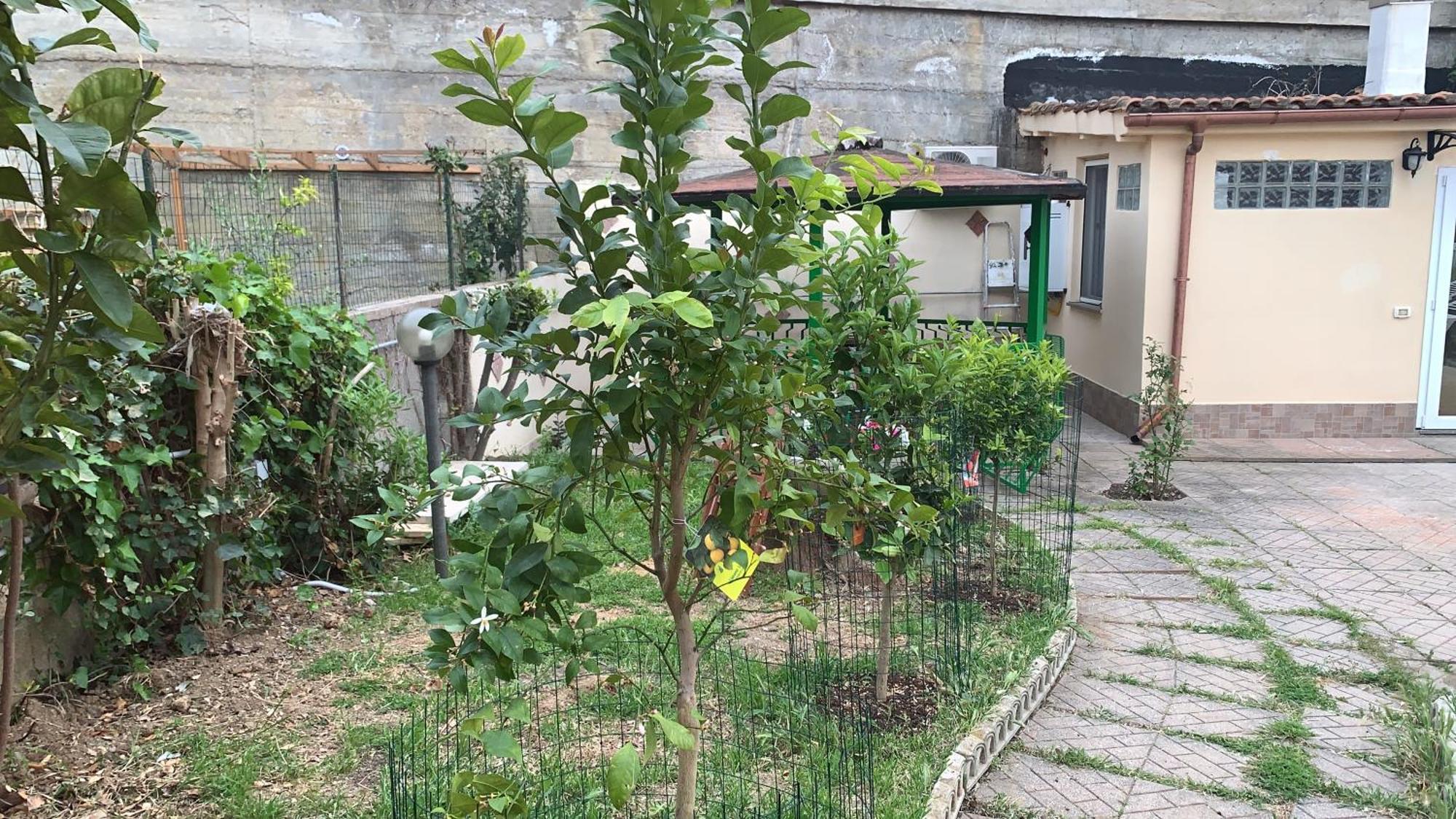 B&B Civitavecchia La Casetta Con Giardino Exterior photo